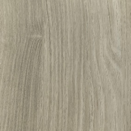 Акация - 19 (3000)  